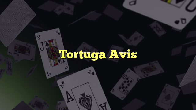 Tortuga Avis